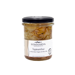
                  
                    TOPINAMBUR 170g
                  
                